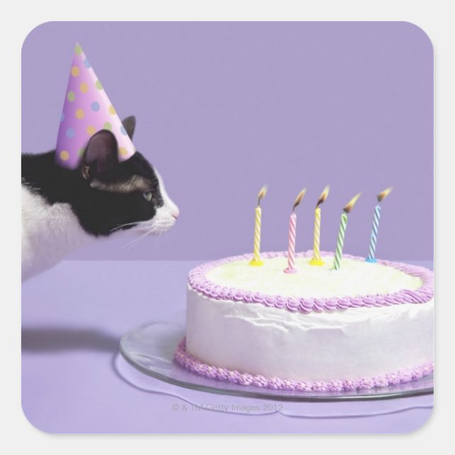 Cat wearing birthday hat blowing out candles on square sticker (Front)