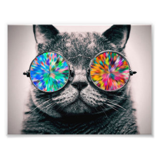 Cat wearing coloured glasses photo print