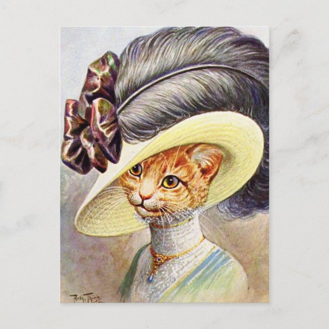 Cat Wearing Feather hat Postcard (Front)