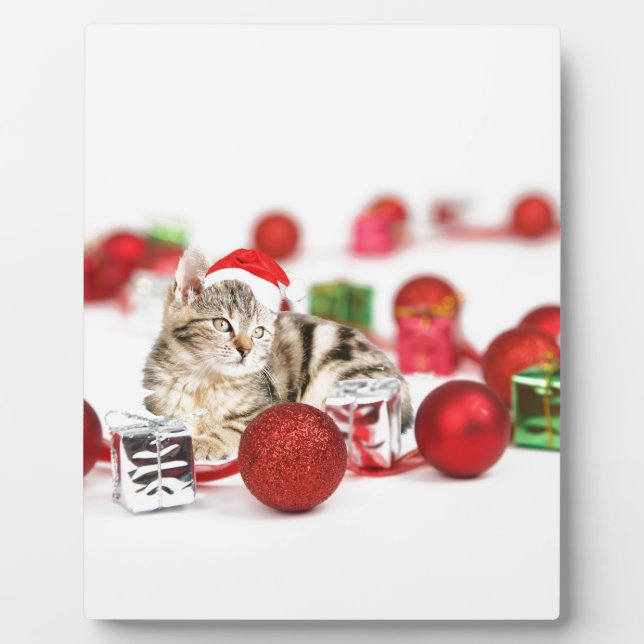 Cat wearing red Santa hat Christmas Ornament Plaque (Front)