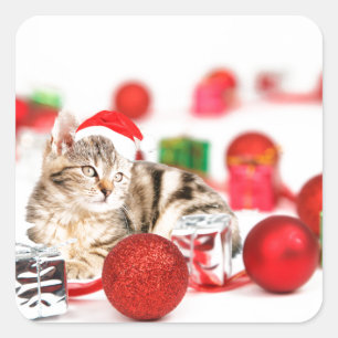 Cat wearing red Santa hat Christmas Ornament Square Sticker