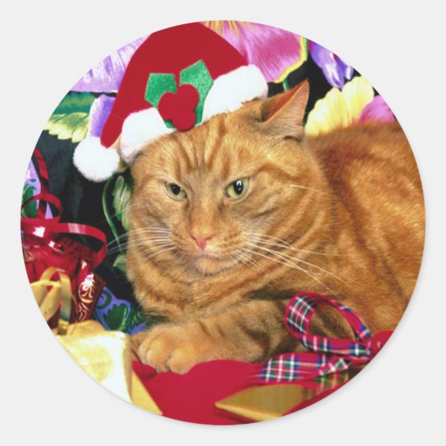 Cat Wearing Santa Claus Hat - Sticker (Front)