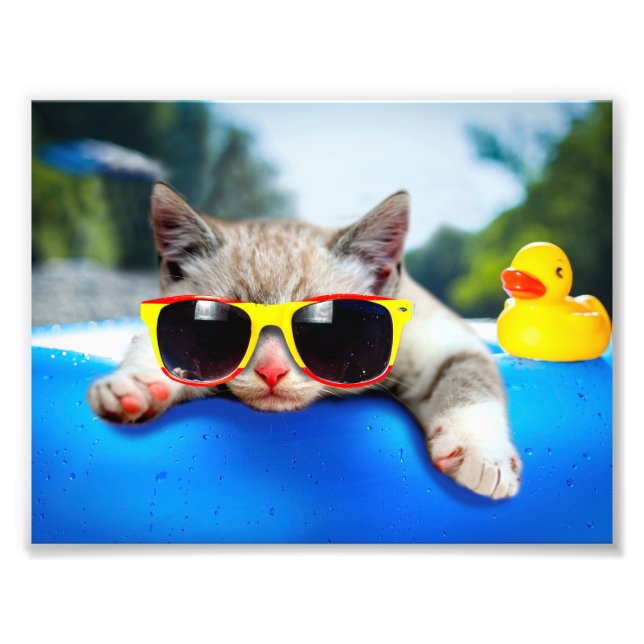 Cat wearing sunglasses relaxing on air mattress photo print (Front)