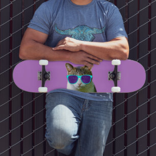 CAT WEARING SUNGLASSES SKATEBOARDS