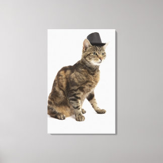 Cat wearing top hat canvas print
