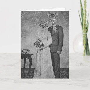 Cat wedding card