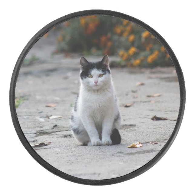 Cat, White, Pet Hockey Puck (Front)