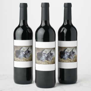 Cat Wine Label