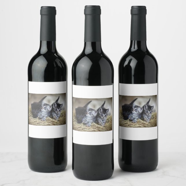 Cat Wine Label (Bottles)