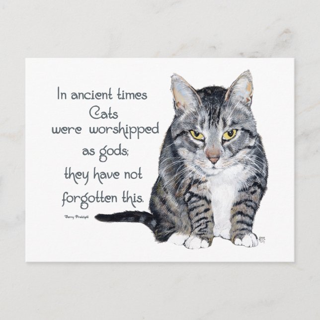 Cat Wisdom - in ancient times, Cats were Postcard (Front)