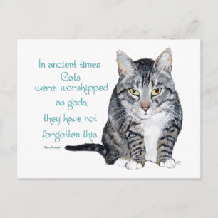 Cat Wisdom - in ancient times, Cats were Postcard