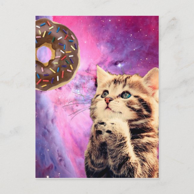 Cat wishing doughnut postcard (Front)