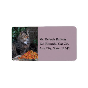 Cat With a Grateful Heart Address Labels