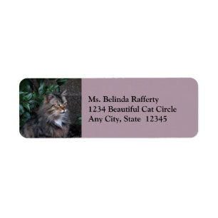 Cat With a Grateful Heart Return Address Labels