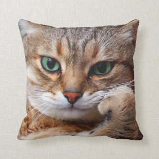 cat with attitude cushion