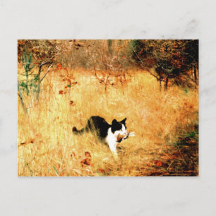 Cat with Bird in Mouth Postcard