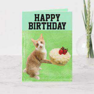 CAT WITH BIRTHDAY CAKE BIG GREETING CARD