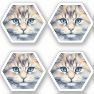Cat with blue eyes hexagon