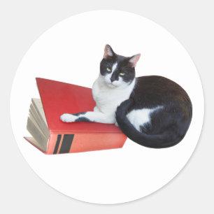 Cat with Book Sticker
