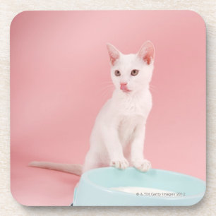Cat with bowl of milk coaster