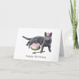 Cat with Cake Birthday Card