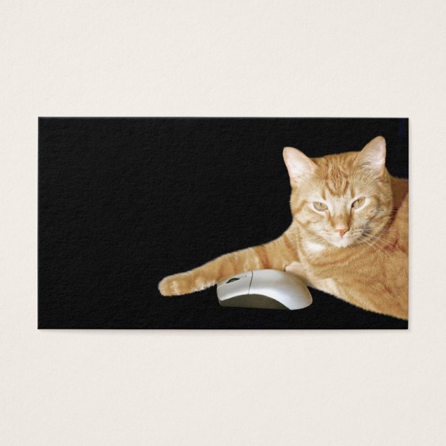 Cat with computer mouse (Front)