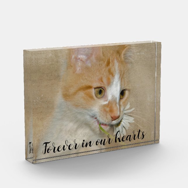 Cat with Daisy Pet Memorial Photo Block (Left)