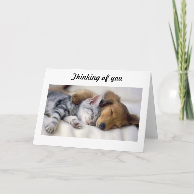 Cat with dog sympathy card (Front)