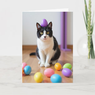 Cat With Egg Funny Pet Card
