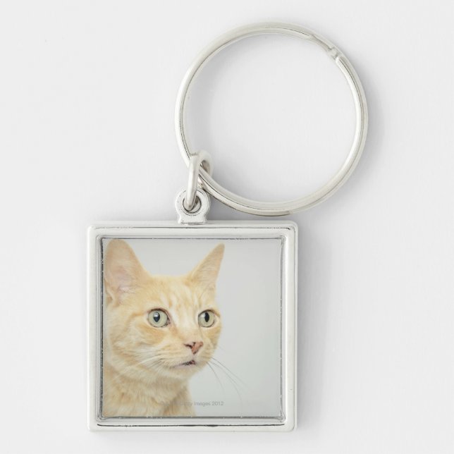 Cat with eyes open wide key ring (Front)