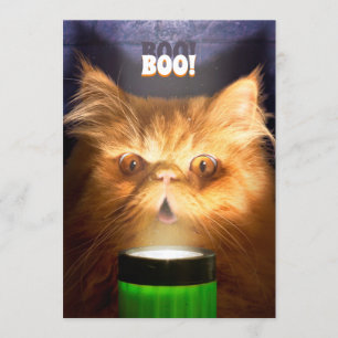 Cat With Flashlight Invitation