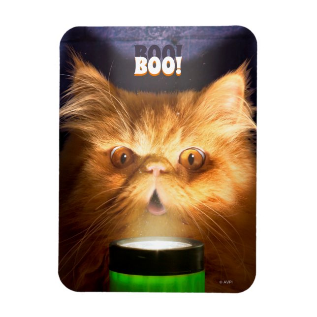 Cat With Flashlight Magnet (Vertical)