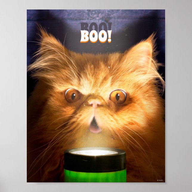 Cat With Flashlight Poster (Front)