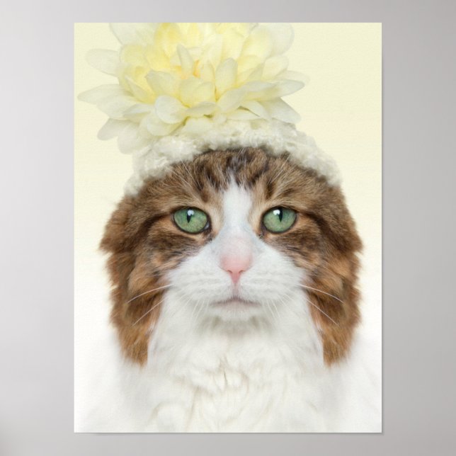 Cat With Flower Hat Poster (Front)