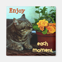 Cat with Flowers/Enjoy Each Momen