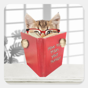Cat with Glasses and Red Book   Square Sticker