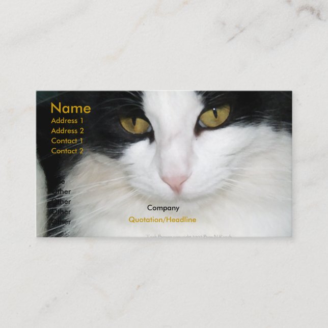 Cat with Golden Eyes Business Card (Front)