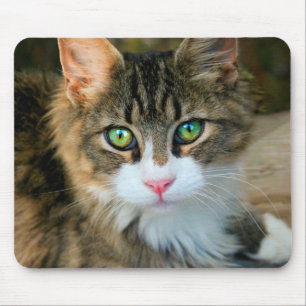 Cat With Green Eyes Mouse Pad