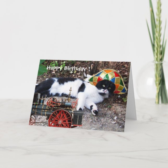 CAT WITH HARLEQUIN HAT Happy Birthday Card (Front)