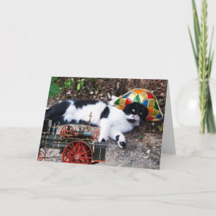 CAT WITH HARLEQUIN HAT WITH STEAM LOCOMOTIVE CARD