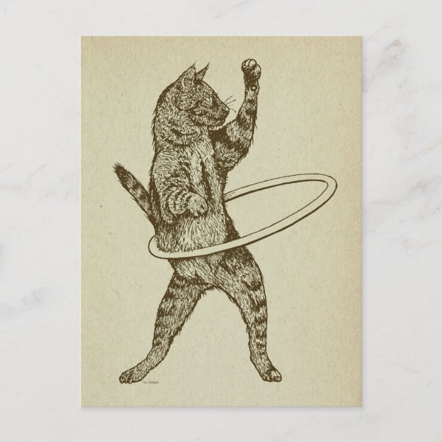 Cat with Hula Hoop Postcard (Front)