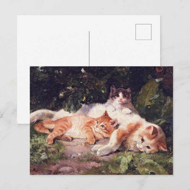 Cat with Kittens Fine Art Postcard (Front/Back)