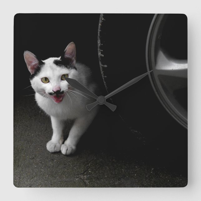 Cat with Moustache Square Wall Clock (Front)