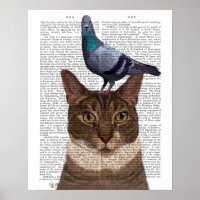 Cat with Pigeon on Head