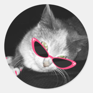 Cat With Pink Sunglasses Sticker