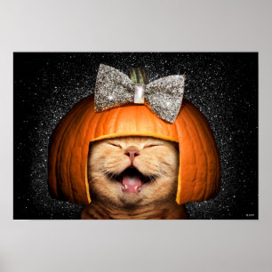 Cat With Pumpkin Hair Poster