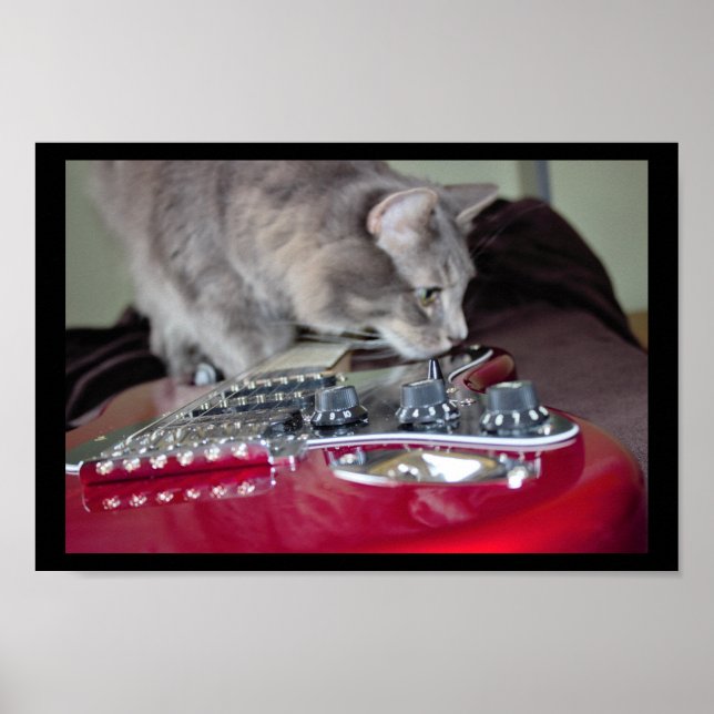 Cat with Red Electric Guitar Poster (Front)