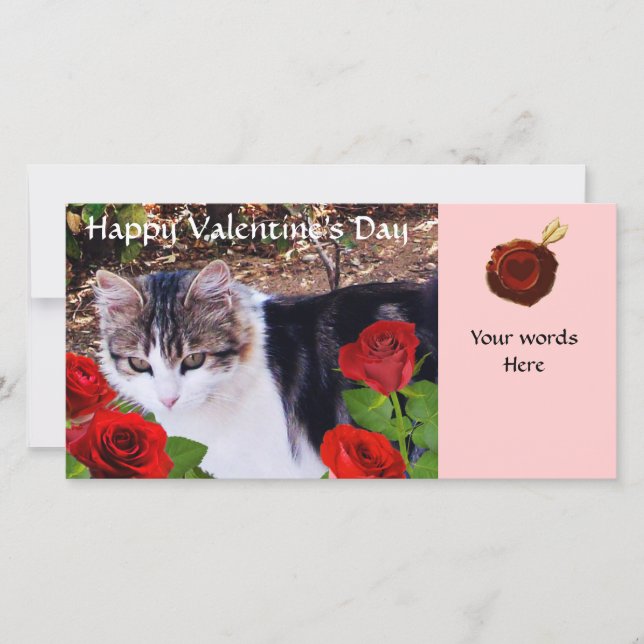 CAT WITH RED ROSES HOLIDAY CARD (Front)