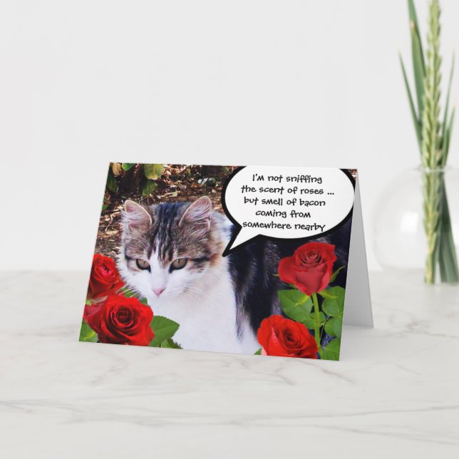 CAT WITH RED ROSES HOLIDAY CARD (Front)