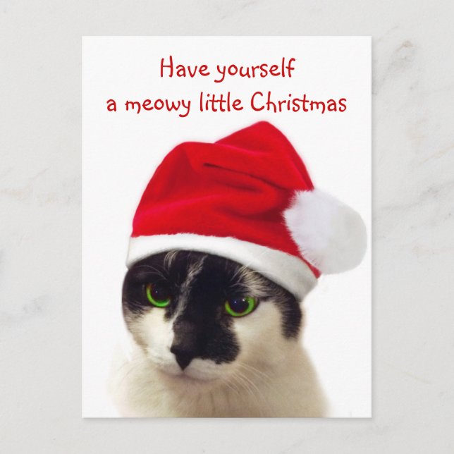 Cat with Santa's Hat Holiday Postcard (Front)